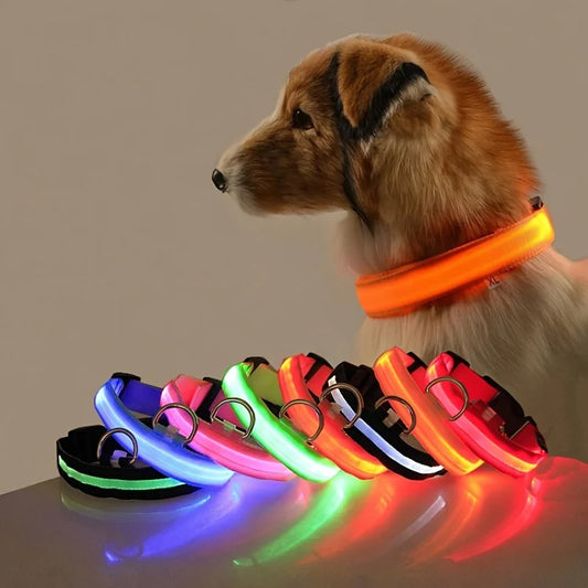 Dog Collar Nylon LED Night Safety Dog Leash